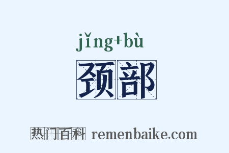 颈部是什么意思的图片